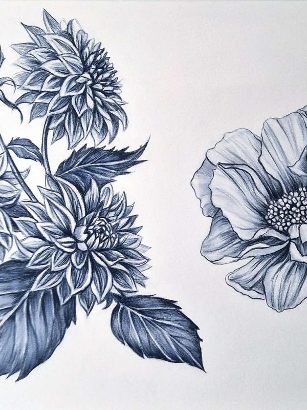 462542010_552381687284993_4196075861467124358_n