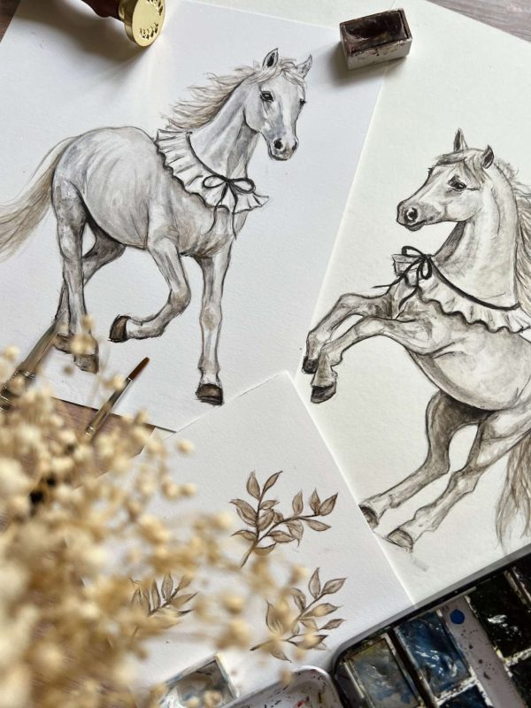 462542154_1228980461579367_3065757161749646564_n