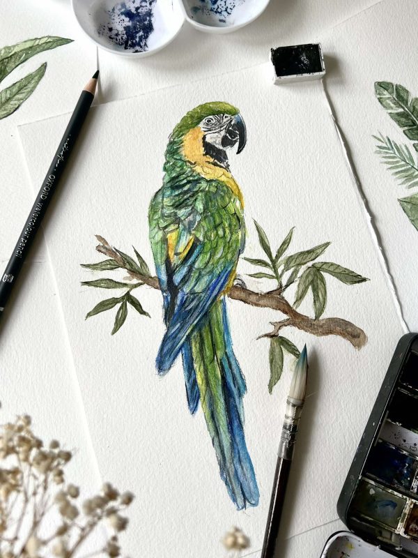 462544216_556173540193369_1199868203928141033_n