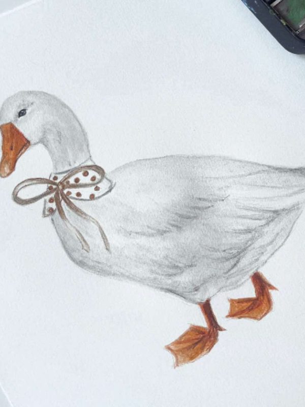 462570441_1063584968229617_7292417457361639401_n