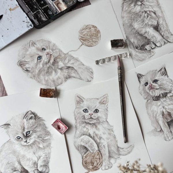 rysunki szkicownik okładka